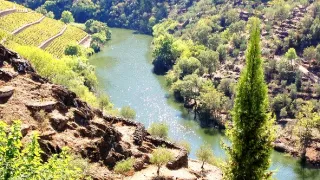 Sto divov sveta (4/13)