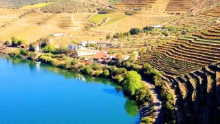 Sto divov sveta (4/13)