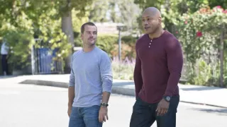 NCIS: Los Angeles VI (8)