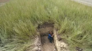 Skrytý svět kořenů