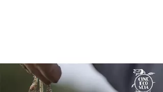 Skrytý svět kořenů