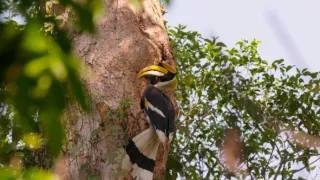 Posledné prírodné raje (5/6)