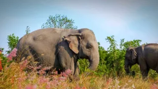 Posledné prírodné raje (5/6)