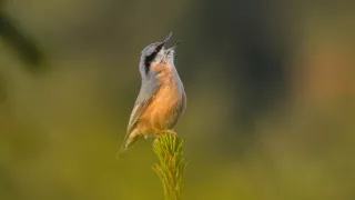 Čarovné hory v srdci Nemecka