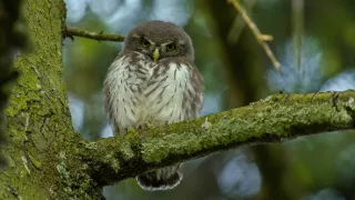 Čarovné hory v srdci Nemecka