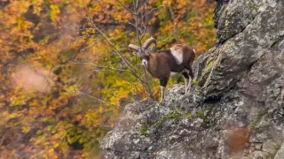 Čarovné hory v srdci Nemecka