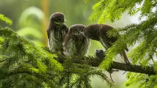 Čarovné hory v srdci Nemecka