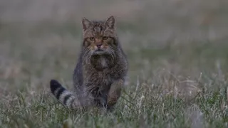 Čarovné hory v srdci Nemecka