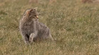 Čarovné hory v srdci Nemecka
