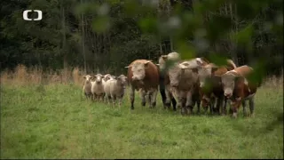 Klenoty našej krajiny