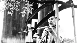 Kosenie Jastrabej lúky