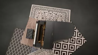 Emoce v umění (4/24)