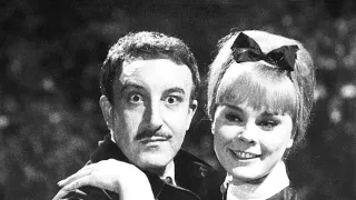 Clouseau na stopě