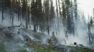 Zázračná planéta: Krajina pohľadom z vesmíru (4/4)