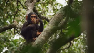 Zázračná planéta: Krajina pohľadom z vesmíru (4/4)