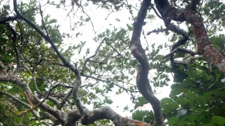 Zázračná planéta: Krajina pohľadom z vesmíru (4/4)