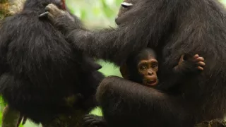 Zázračná planéta: Krajina pohľadom z vesmíru (4/4)