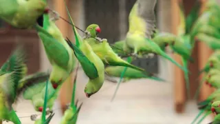 Zázračná planéta: Krajina pohľadom z vesmíru (4/4)