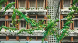 Zázračná planéta: Krajina pohľadom z vesmíru (4/4)