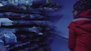 Tsunami na Ženevskom jazere