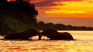 Botswana - posledný africký raj