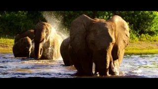 Botswana - posledný africký raj