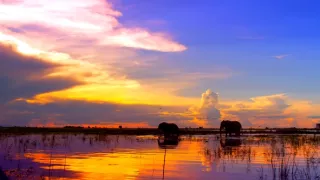Botswana - posledný africký raj