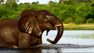 Botswana - posledný africký raj