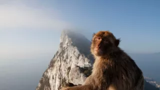 Sedem svetov, jedna planéta (2)