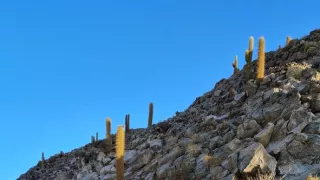 Svetom na bicykli (6/8)