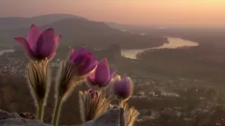 Bratislava, mesto uprostred prírody