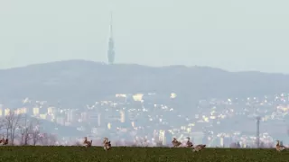 Bratislava, mesto uprostred prírody