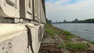Bratislava, mesto uprostred prírody