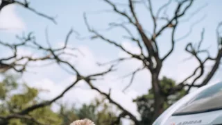 V karavane po Poľsku (4/8)