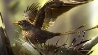 Keď veľryby ešte chodili (2/2)