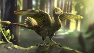 Keď veľryby ešte chodili (2/2)