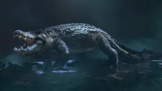 Keď veľryby ešte chodili (2/2)