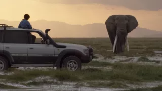 Keď veľryby ešte chodili (2/2)