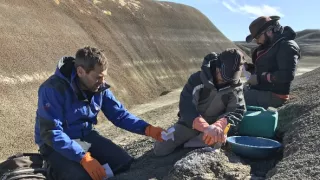 Keď veľryby ešte chodili (2/2)