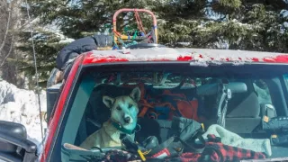 Ťažšie, než by sa zdalo (1)