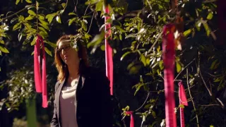 Emoce v umění (12/24)