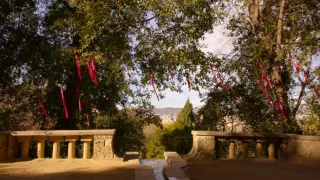 Emoce v umění (12/24)