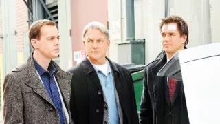 NCIS - Námorný vyšetrovací úrad VIII (15)