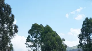 Svetom na bicykli (4/8)