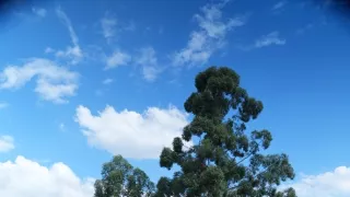 Svetom na bicykli (4/8)