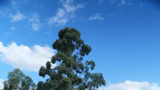 Svetom na bicykli (4/8)