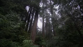 Najzaujímavejšie mestá na svete (4/6)