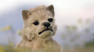 Zázračná planéta: Špionáž v divočine (3/4)