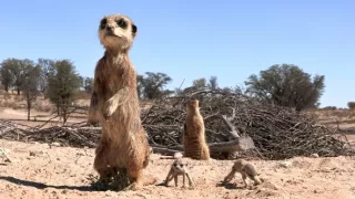 Zázračná planéta: Špionáž v divočine (3/4)