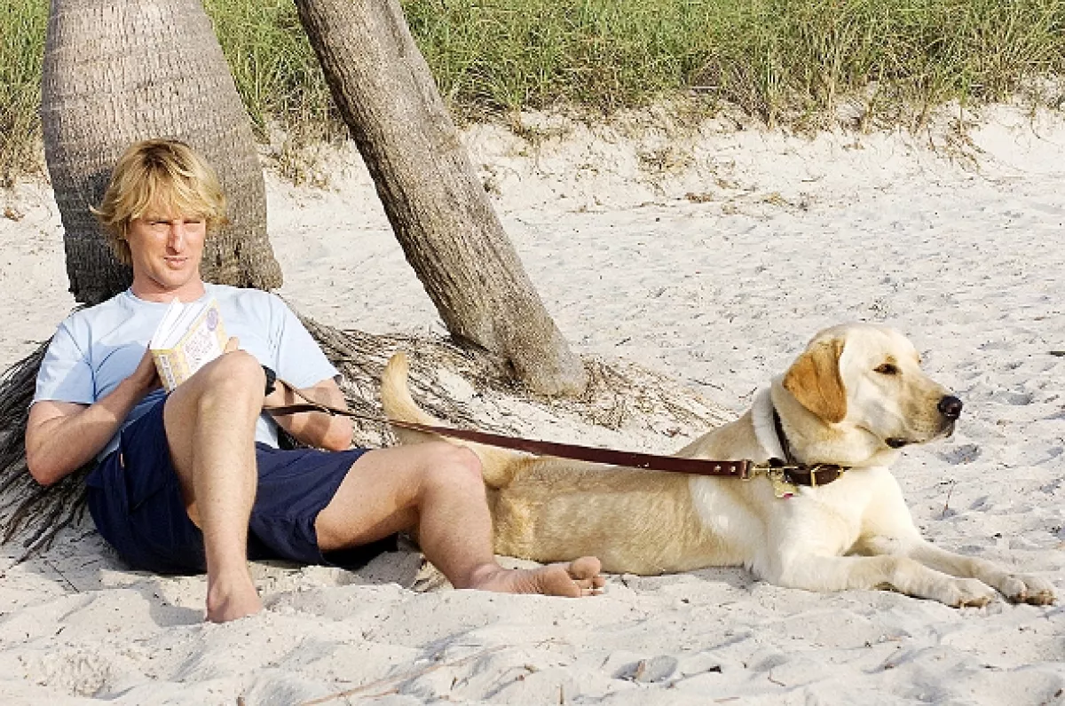 Marley a ja (Marley & Me), 2008 - fotogaléria